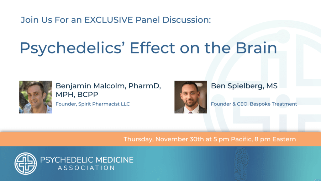 Psychedelics’ Effect on the Brain webinar with Ben Spielberg and Ben Malcolm